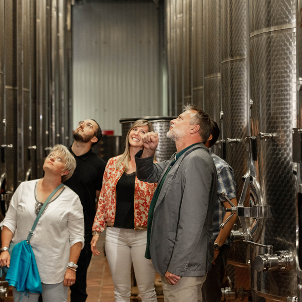 Visite des caves de la Maison Henri Badoux à Aigle.