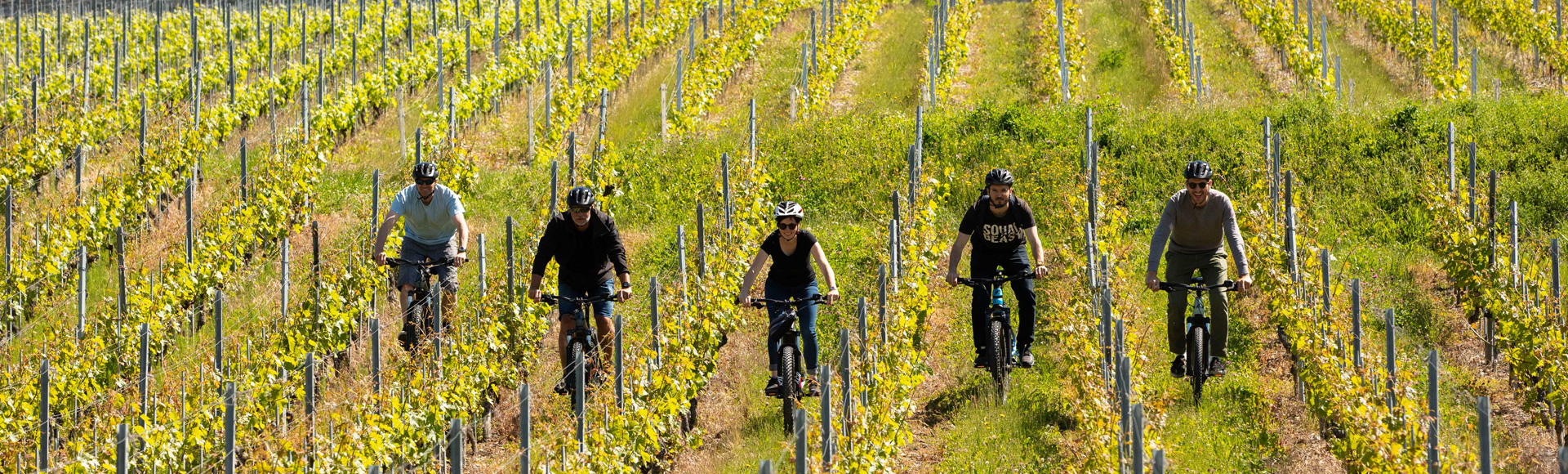 Balade en bike à travers les vignes de la Maison Henri Badoux à Aigle.