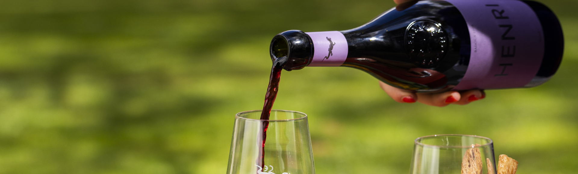 Vins rouges suisses de la Maison Henri Badoux d'Aigle.